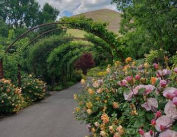 Things To Do Red Butte Gardens