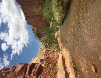 Things To Do Capitol Reef