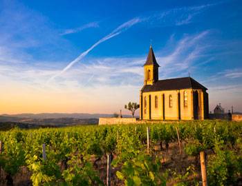 Things To Do Salt Lake / Park City Wine Tour