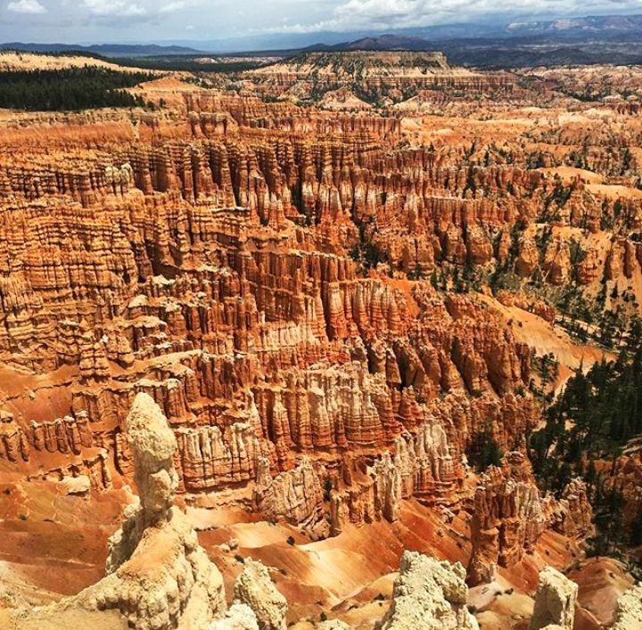 Hoodoos at Bryce Canyon National Park.